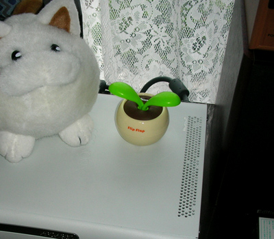 070607a.jpg